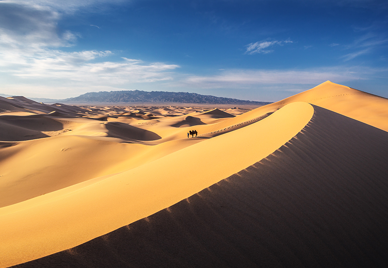 Khongor sand dunes